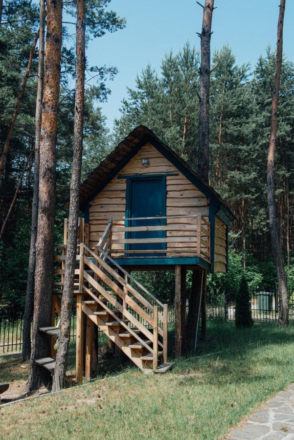Domek w lesie nad zalewem Chancza Zewnętrze zdjęcie