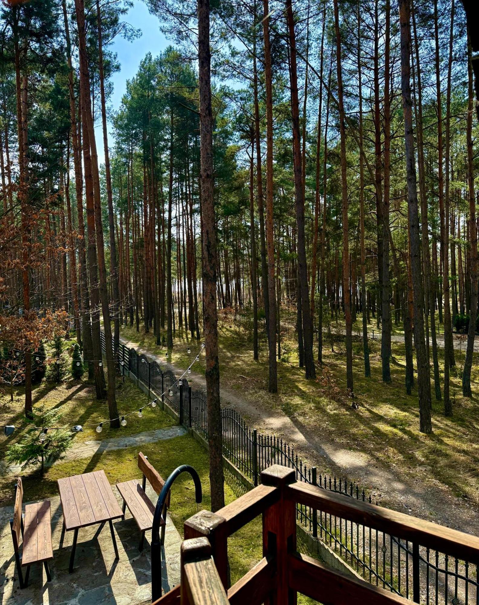 Domek w lesie nad zalewem Chancza Zewnętrze zdjęcie